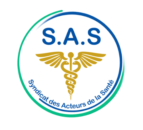 Fichier:SAS logo.png