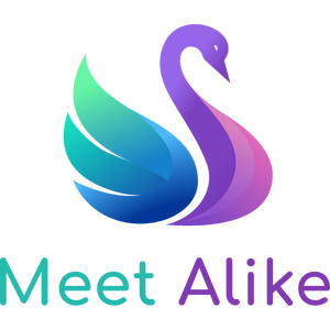 Meet Alike.png
