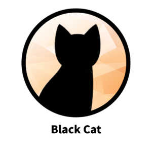Black Cat Image.png