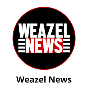 Weazel News 2.png