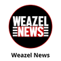 Vignette pour Fichier:Weazel News 2.png