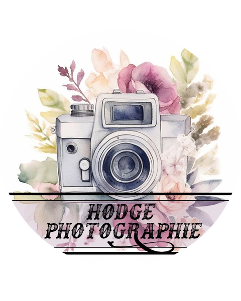 Fichier:HodgePhotographie.png