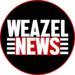 Les reportages Weazel News
