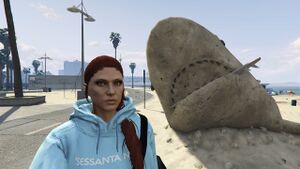 Isla et le Requin.jpg