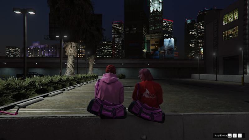 Fichier:Chin et alice.png
