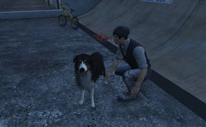 Chin et Turbo.png