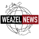 Weazel News