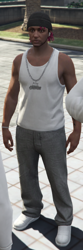 Denz PP.png