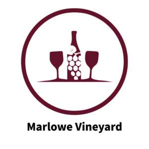 Marlowe Vineyard Image.png