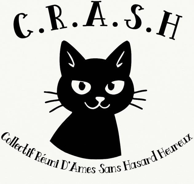 Fichier:C.r.a.s.h.png